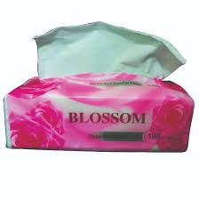 BLOSSOM TISSUE REFILL 100X3PCS X1