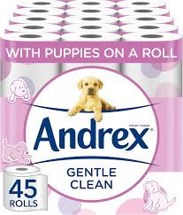 ANDREX GENTLE CLEAN TISSUE 4INI X1